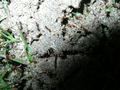 2007-Louisiana-Mission-Trip EBC (341).JPG